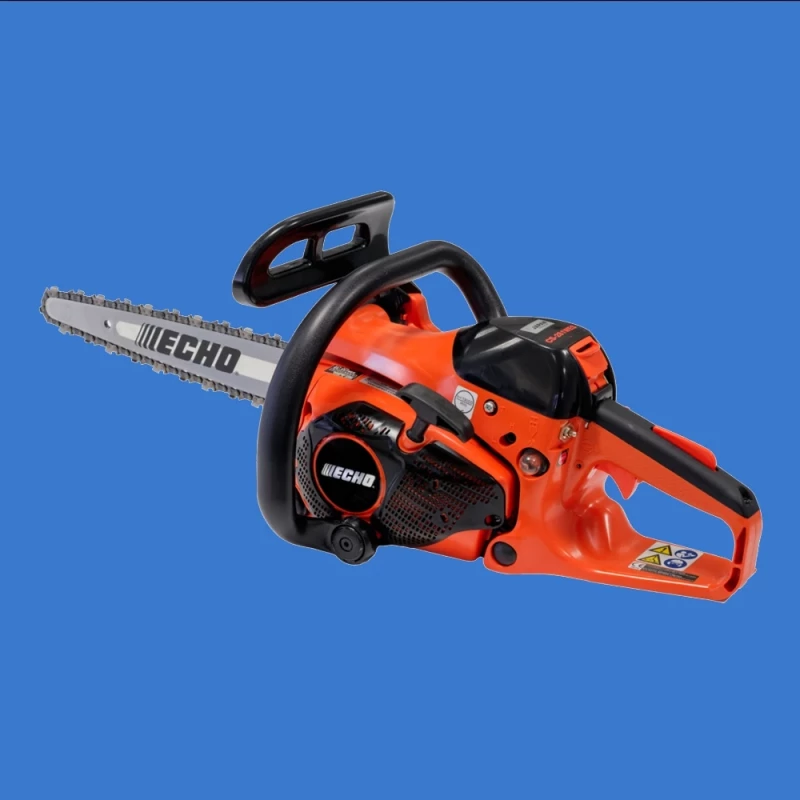 ECHO  CS 281 WES Carving