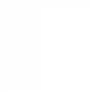 Montana Gold  - Shock White